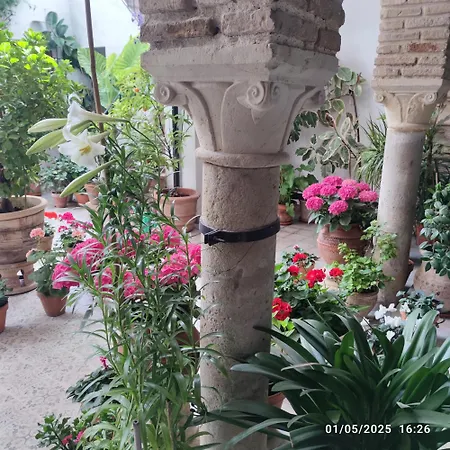 Lägenhet El Patio De Regina Córdoba