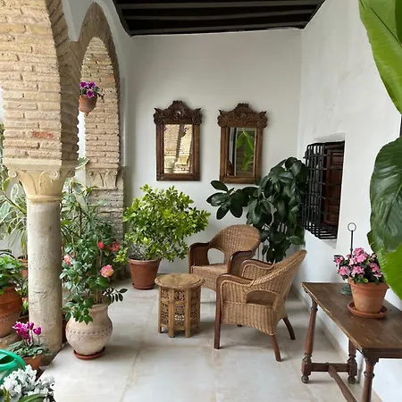 El Patio De Regina Cordova