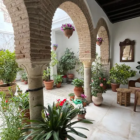 El Patio De Regina * Córdoba